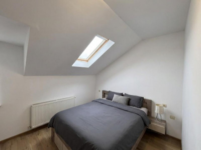 Case de vanzare Sura Mica imagine mica 6