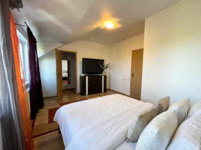 Case de vanzare Sura Mica imagine mica 4