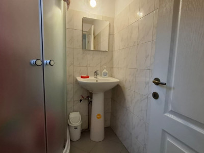 Spatii comerciale de inchiriat Sibiu Turnisor imagine mica 6