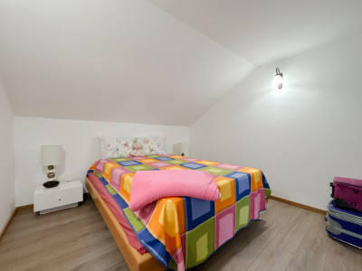 Case de vanzare Cluj-Napoca Borhanci imagine mica 25