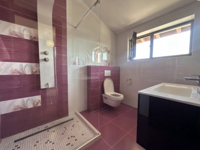 Case de vanzare Floresti imagine mica 24