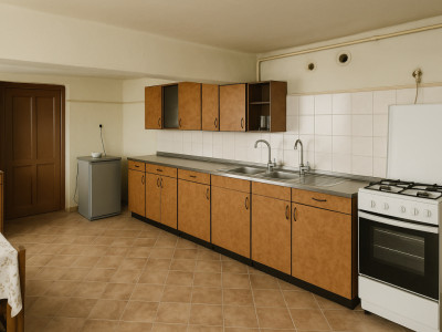 Case de vanzare Sibiu Central imagine mica 10