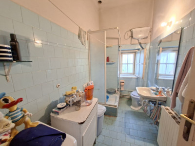 Case de vanzare Sibiu Central imagine mica 13