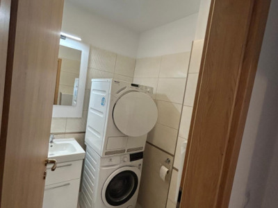 Apartamente de inchiriat Sibiu Mihai Viteazul imagine mica 12
