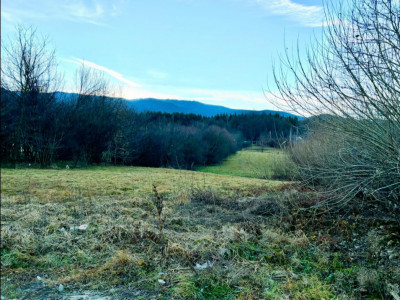 Terenuri de vanzare Tocile imagine mica 1