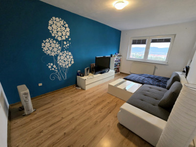 Apartamente de vanzare Sibiu Vasile Aaron imagine mica 1