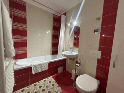 Apartamente de inchiriat Sibiu Doamna Stanca imagine mica 7