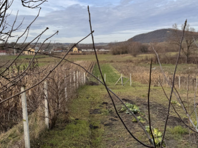 Case de vanzare Cornatel imagine mica 15