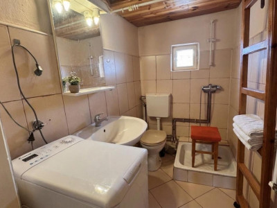 Case de vanzare Cornatel imagine mica 20