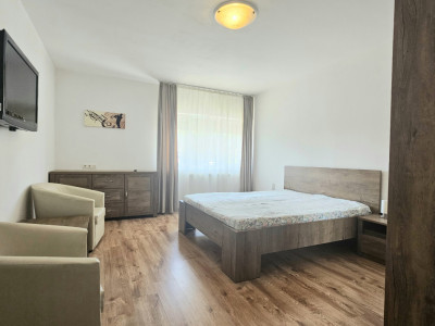 Apartamente de inchiriat Sibiu Lupeni imagine mica 2
