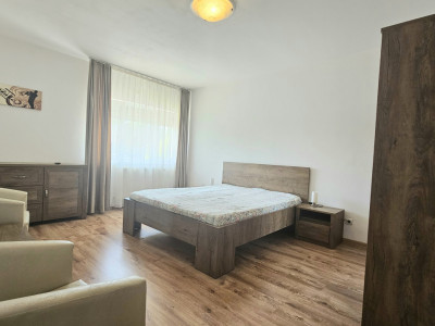 Apartamente de inchiriat Sibiu Lupeni imagine mica 9
