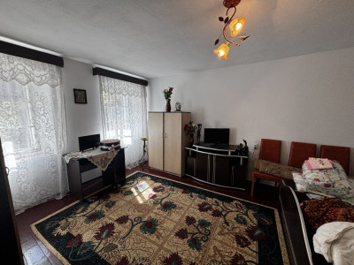 Case de vanzare Sibiu Terezian imagine mica 3