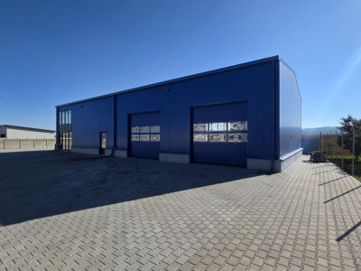 Spatii industriale de inchiriat Sebes imagine mica 2