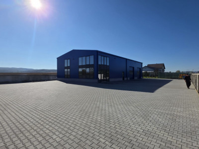 Spatii industriale de inchiriat Sebes imagine mica 3