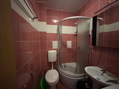 Apartamente de vanzare Sibiu Terezian imagine mica 8