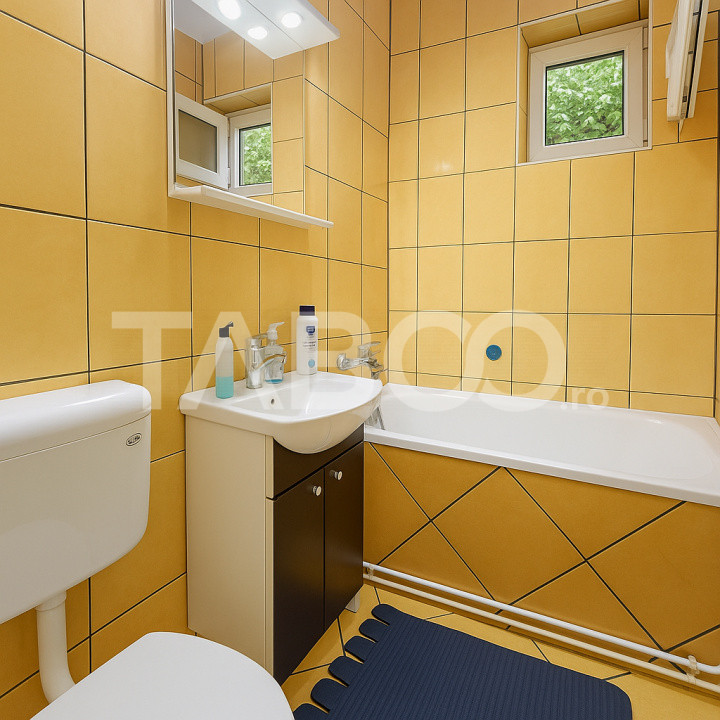 Apartamente de inchiriat Sibiu Vasile Aaron 10