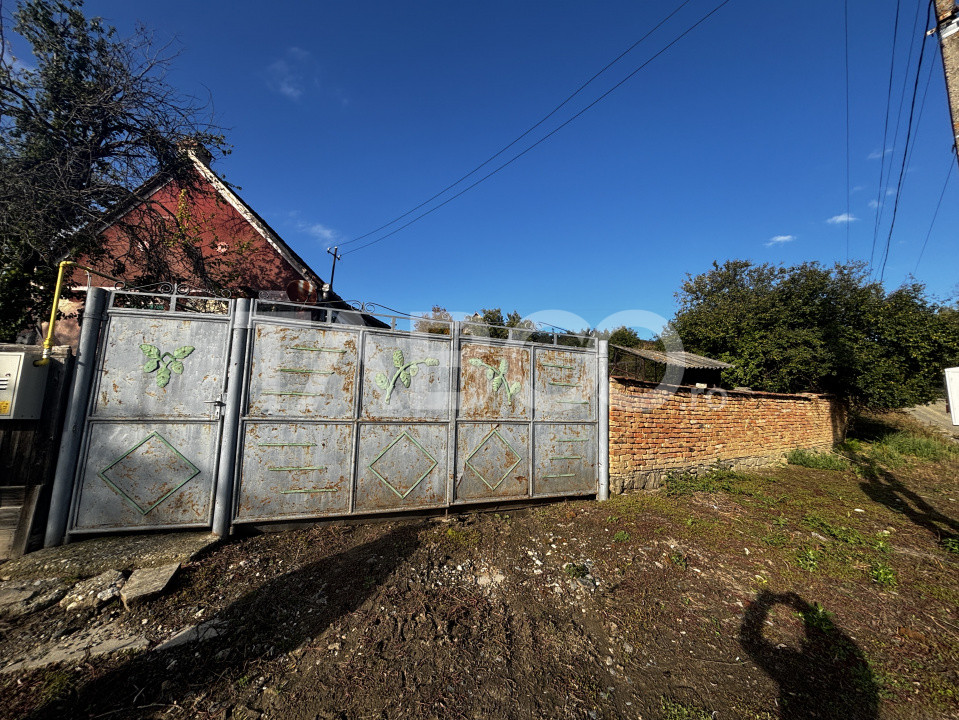 Case de vanzare Alamor 2