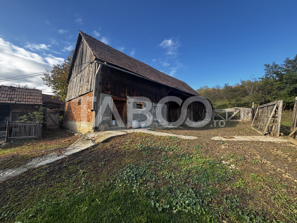 Case de vanzare Alamor 8