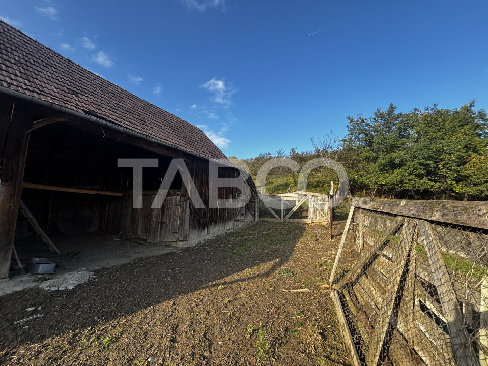 Case de vanzare Alamor 9