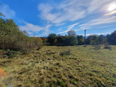 Terenuri de vanzare Sambata de Sus imagine mica 2