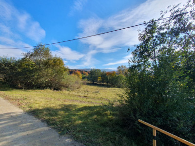 Terenuri de vanzare Sambata de Sus imagine mica 3