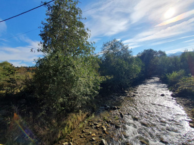 Terenuri de vanzare Sambata de Sus imagine mica 5