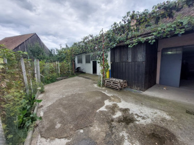 Spatii industriale de inchiriat Sibiu Turnisor imagine mica 2