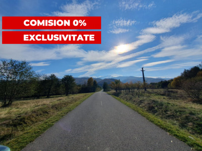 Terenuri de vanzare Lisa imagine mica 1