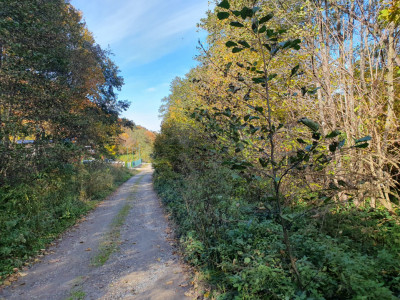 Terenuri de vanzare Lisa imagine mica 3