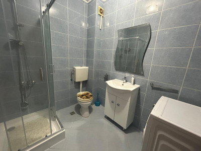 Apartamente de inchiriat Sibiu Lupeni imagine mica 4