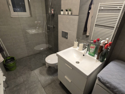 Apartamente de inchiriat Sibiu Turnisor imagine mica 14