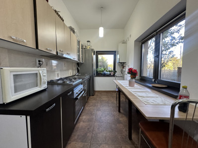 Apartamente de vanzare Cluj-Napoca Grigorescu imagine mica 3