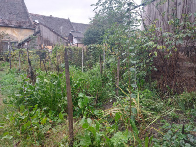 Apartamente de vanzare Cisnadie imagine mica 21