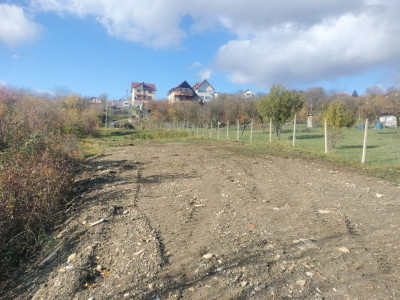 Terenuri de vanzare Daia imagine mica 1