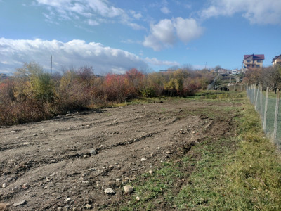 Terenuri de vanzare Daia imagine mica 2