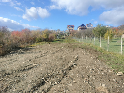 Terenuri de vanzare Daia imagine mica 3