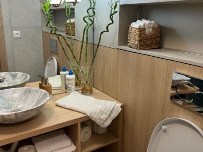 Spatii birouri de inchiriat Sibiu Turnisor imagine mica 5