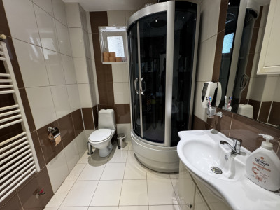 Case de vanzare Cristian imagine mica 11