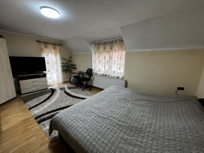 Case de vanzare Cristian imagine mica 22