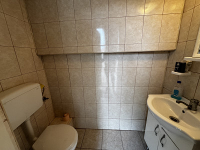 Case de vanzare Cristian imagine mica 25