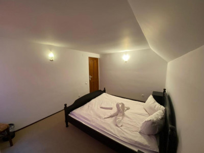 Hoteluri de vanzare Rasinari imagine mica 4