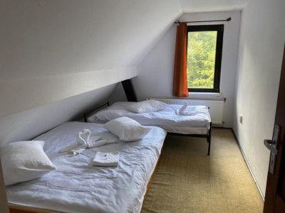 Hoteluri de vanzare Rasinari imagine mica 5