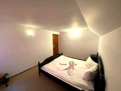 Hoteluri de vanzare Rasinari imagine mica 7