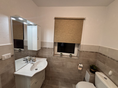 Case de vanzare Sibiu Terezian imagine mica 17