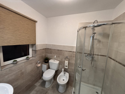 Case de vanzare Sibiu Terezian imagine mica 19