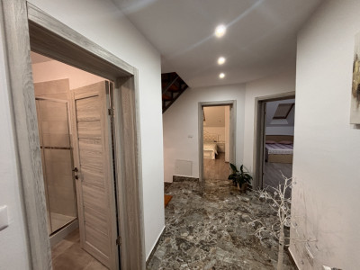 Case de vanzare Sibiu Terezian imagine mica 20