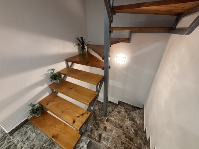 Case de vanzare Sibiu Terezian imagine mica 28