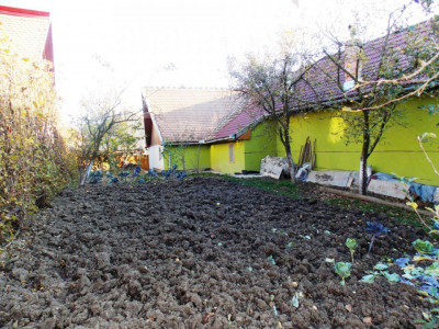 Case de vanzare Sibiu Gusterita imagine mica 11