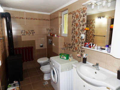 Case de vanzare Sibiu Gusterita imagine mica 19