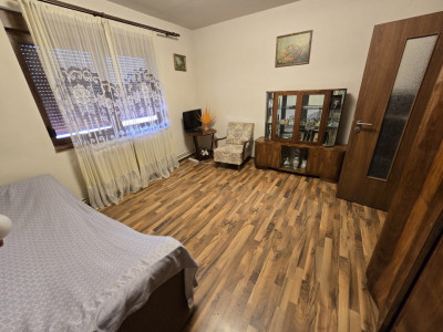 Casa individuala de vanzare 4 camere garaj curte 1310 mp Gusterita